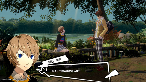 Persona 5 Royal [Nintendo Switch, английская версия] в Твери