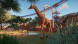 Игра Planet Zoo: Console Edition [PS5, английская версия] в Твери