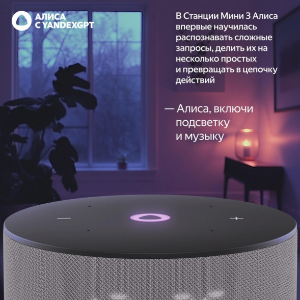 Умная колонка Яндекс Станция Мини 3 c Алисой на YandexGPT, серая в Твери