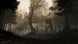 Игра GreedFall [PS4, русские субтитры] в Твери