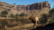Игра Way of the Hunter: Wild Expeditions [PS5, русские субтитры] в Твери