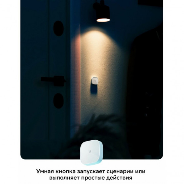 Умная кнопка Sber SBDV-00032 в Твери
