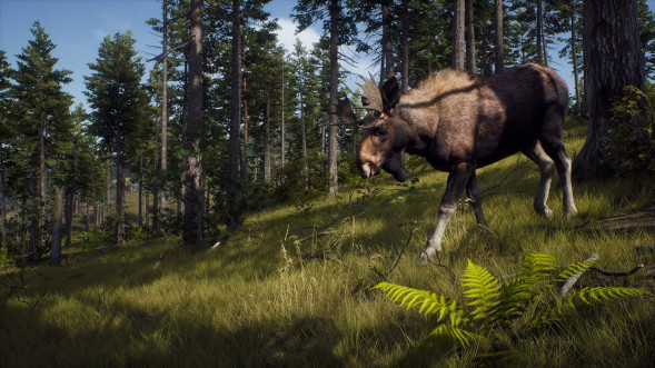 Игра Way of the Hunter [PS5, русские субтитры] в Твери