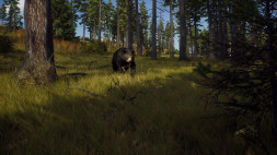 Игра Way of the Hunter [PS5, русские субтитры]