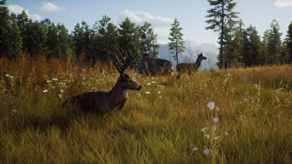 Игра Way of the Hunter [PS5, русские субтитры] в Твери