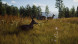 Игра Way of the Hunter [PS5, русские субтитры] в Твери