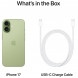 Смартфон Apple iPhone 17 512GB eSim, Sage в Твери