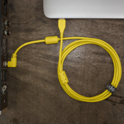 Аудиокабель UDG Ultimate Audio Cabel USB 2.0 A-B 1 метр, жёлтый