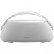 Портативная акустика Harman/Kardon Go + Play 3, серый в Твери