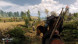 Игра Witcher 3: Wild Hunt (Ведьмак 3: Дикая Охота) Game of the year Edition [PS4, русские субтитры] в Твери