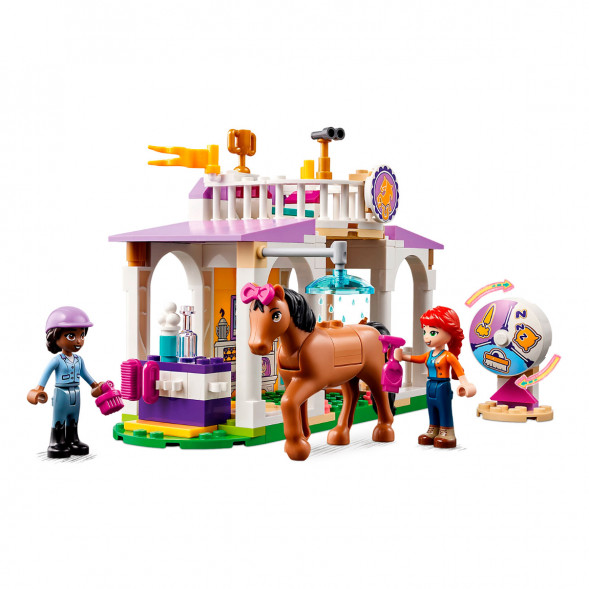 Конструктор LEGO Friends 41746 Horse Training в Твери