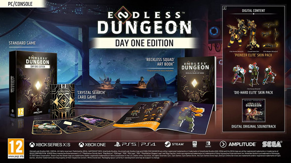 Игра Endless Dungeon. Day One Edition [PS5, английская версия] в Твери