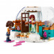 Конструктор LEGO Friends 41760 Праздничное приключение в иглу в Твери