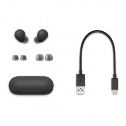 Беспроводные наушники Sony WF-C700N, Black