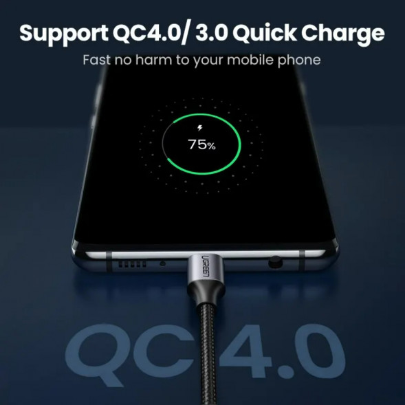 Кабель USB Type-C/Type-C Ugreen 60W, 1 м в Твери