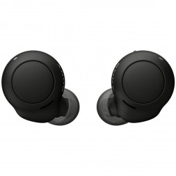 Беспроводные наушники Sony WF-C500, Black