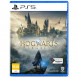 Игра Hogwarts Legacy. Exclusive DLC Astronomers Hat [PS5, русские субтитры] в Твери