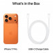 Смартфон Apple iPhone 17 Pro Max 2TB eSim, Cosmic Orange в Твери