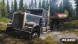 Игра Spintires: MudRunner American Wilds [Nintendo Switch, русские субтитры] в Твери